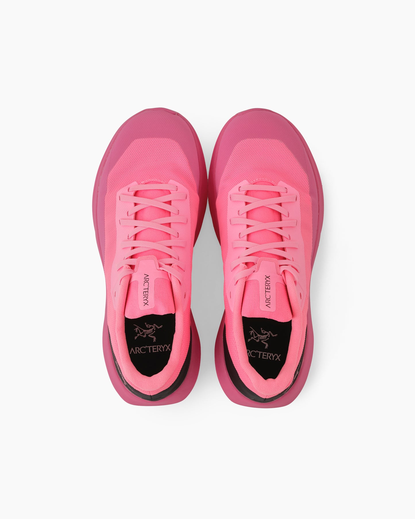 Norvan LD 4 Women Pink Aura/Fruit Punch