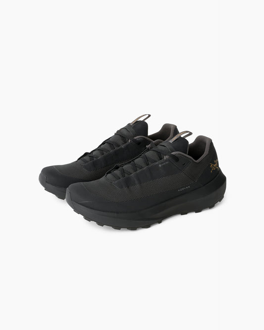 Norvan LD 4 GTX Men Black/Black