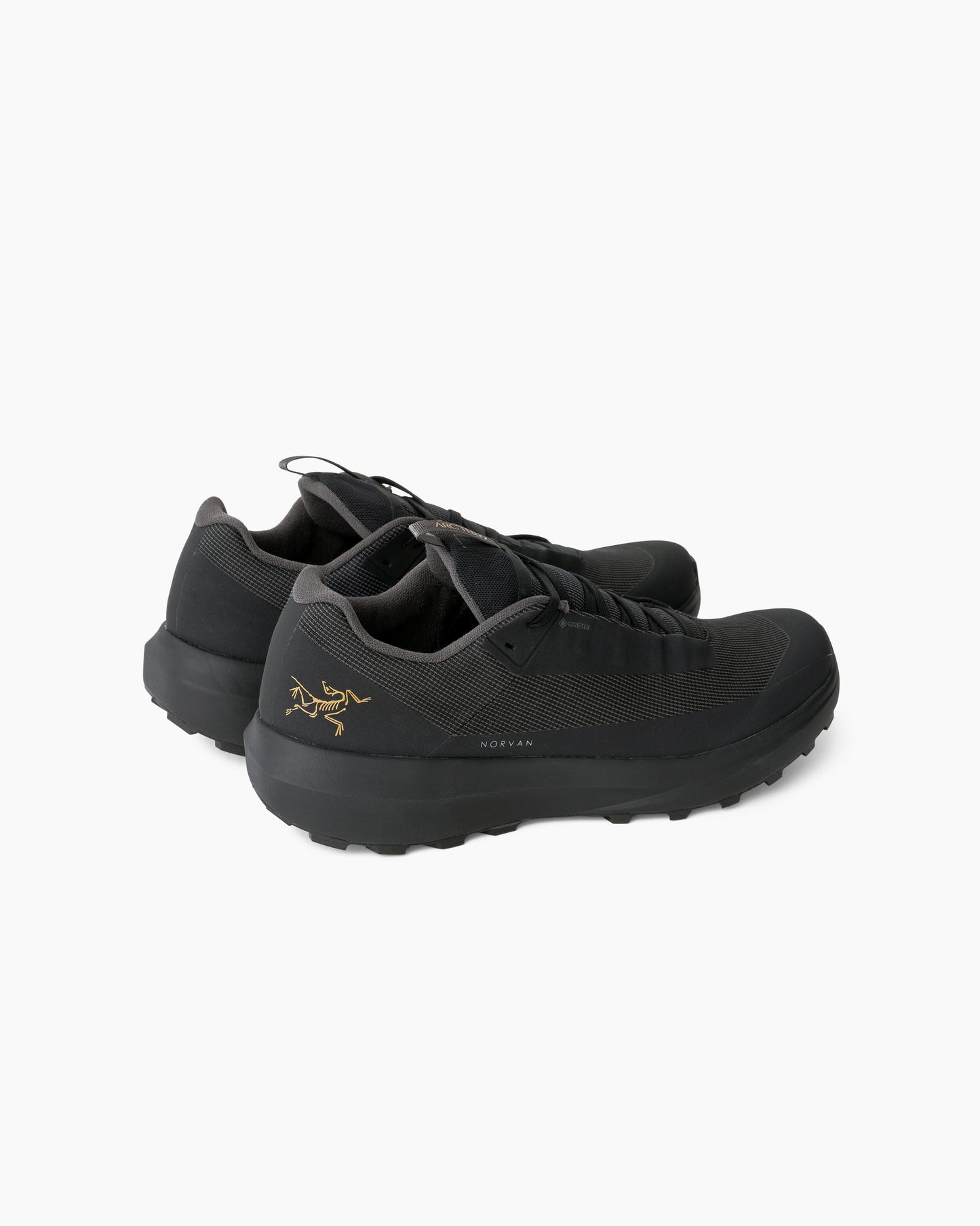 Norvan LD 4 GTX Men Black/Black