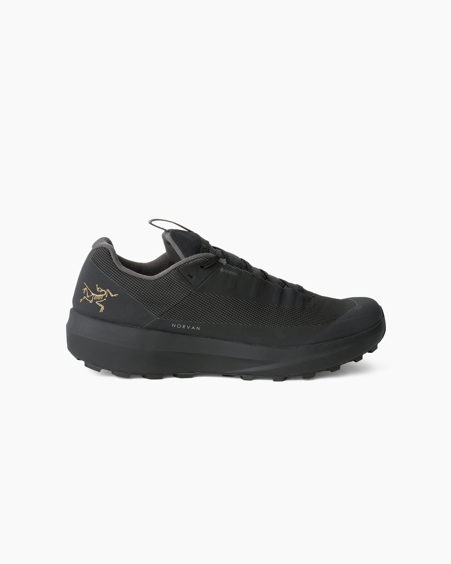 Norvan LD 4 GTX Men Black/Black