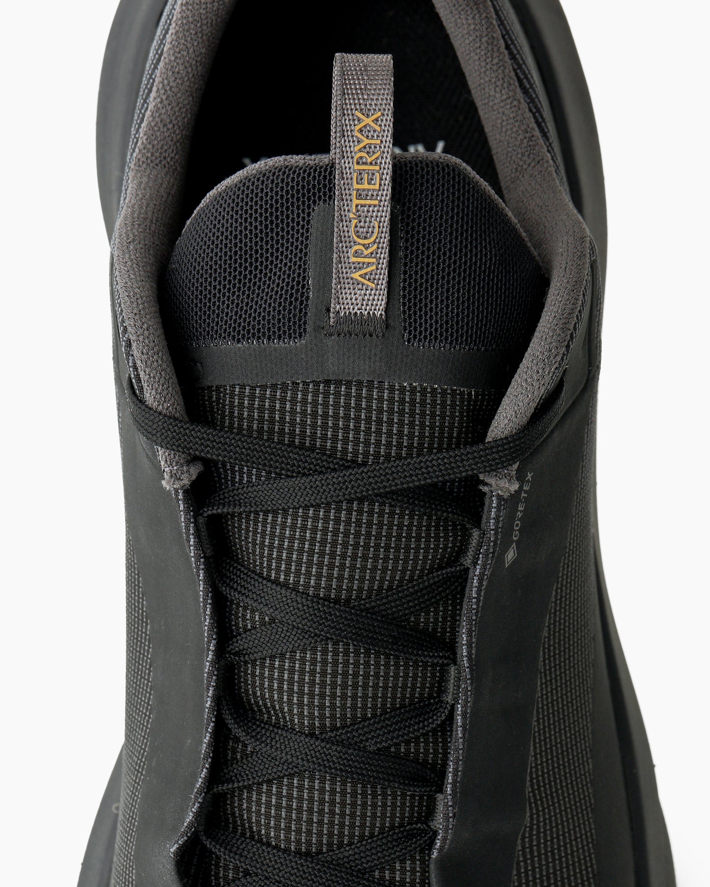 Norvan LD 4 GTX Men Black/Black