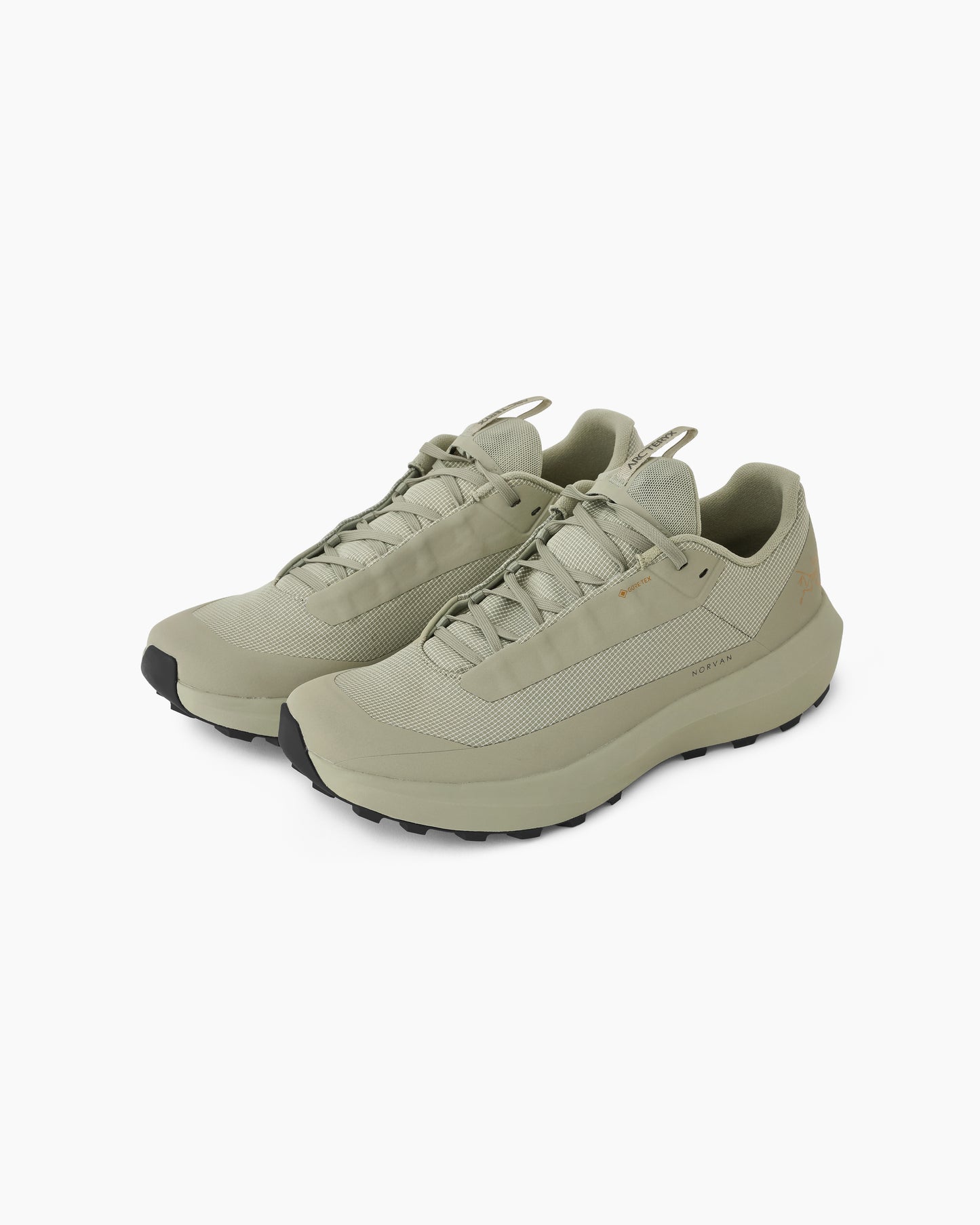 Norvan LD 4 GTX Men Habitat/Habitat