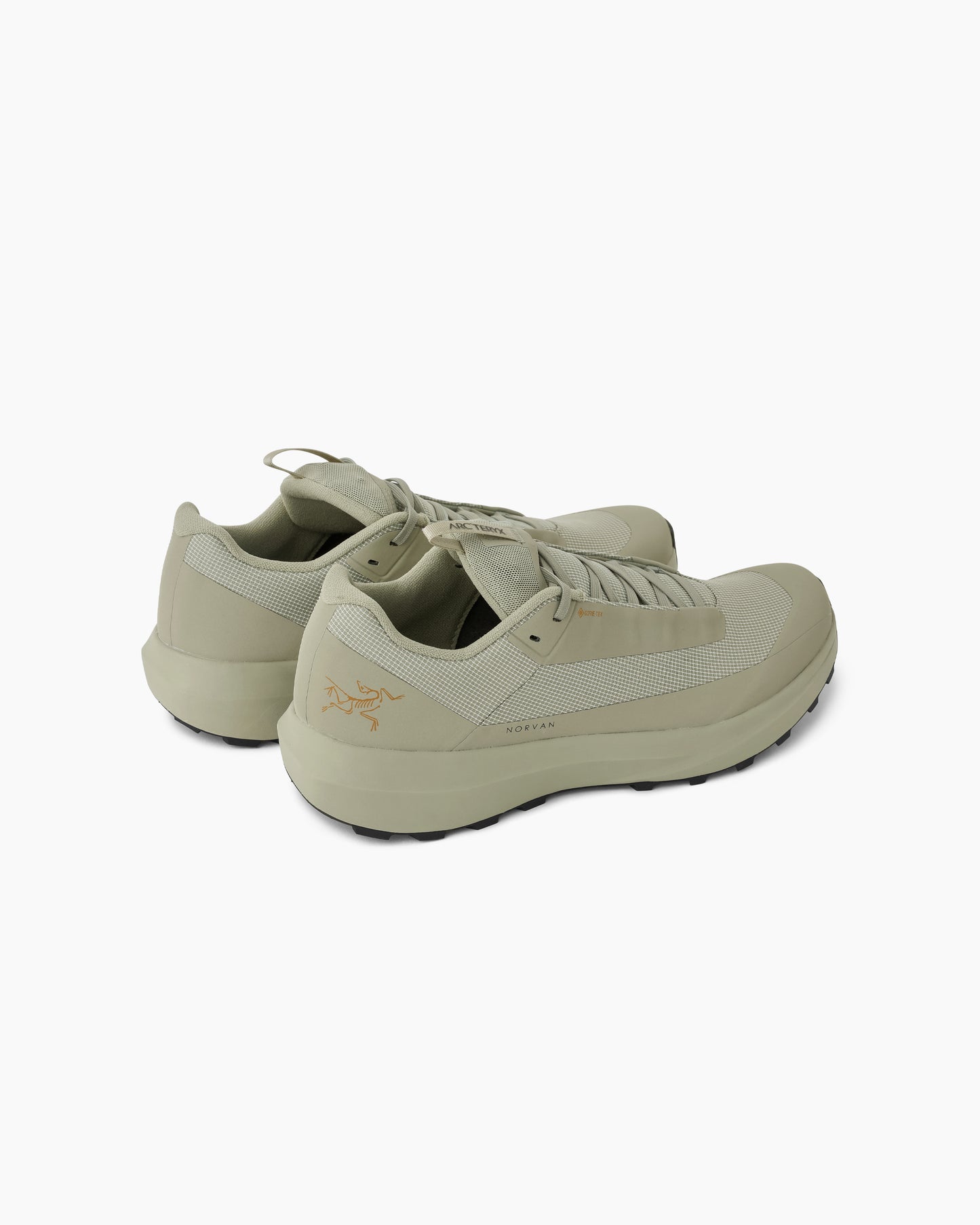 Norvan LD 4 GTX Men Habitat/Habitat