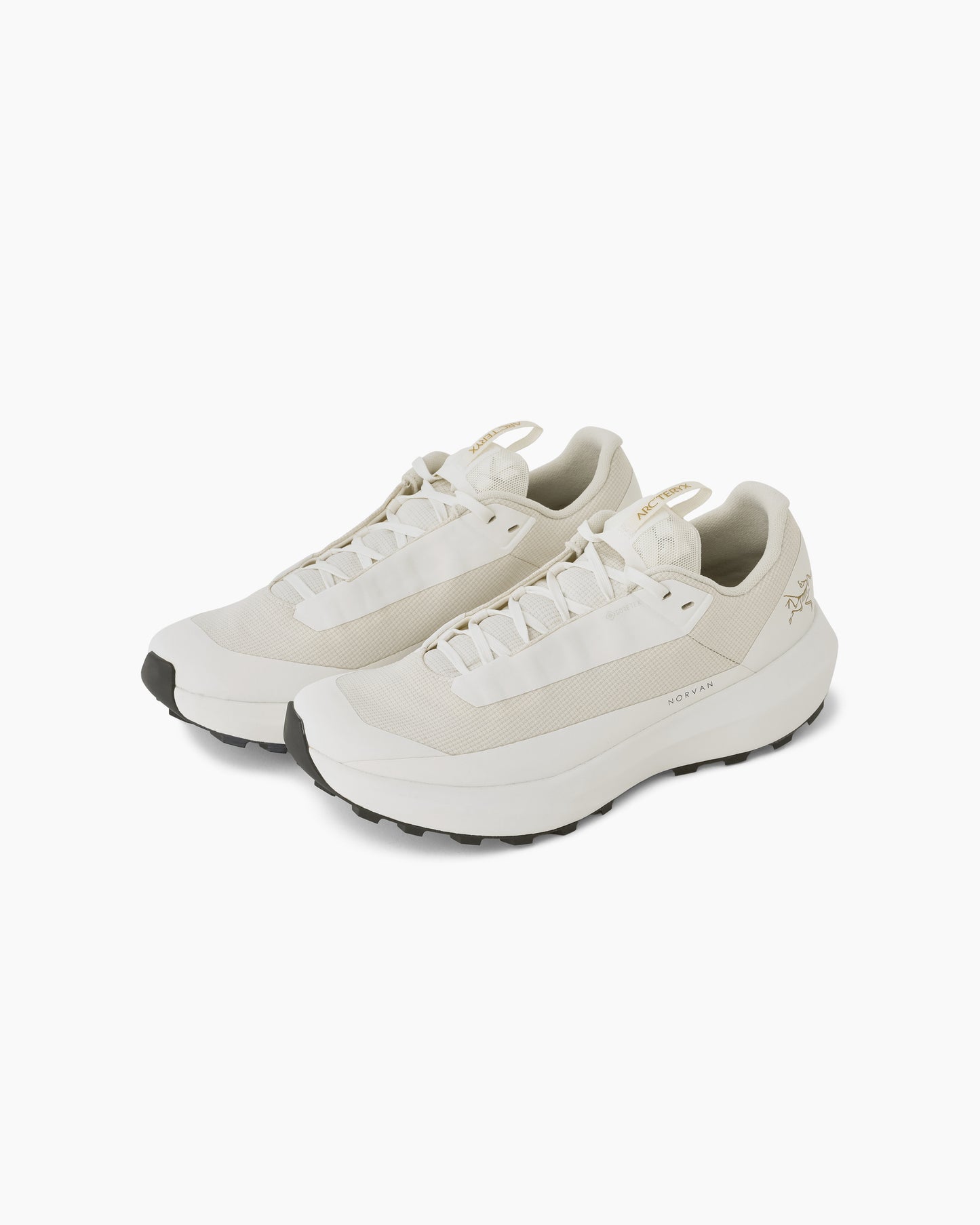 Norvan LD 4 GTX Women Arctic Silk/Arctic Silk