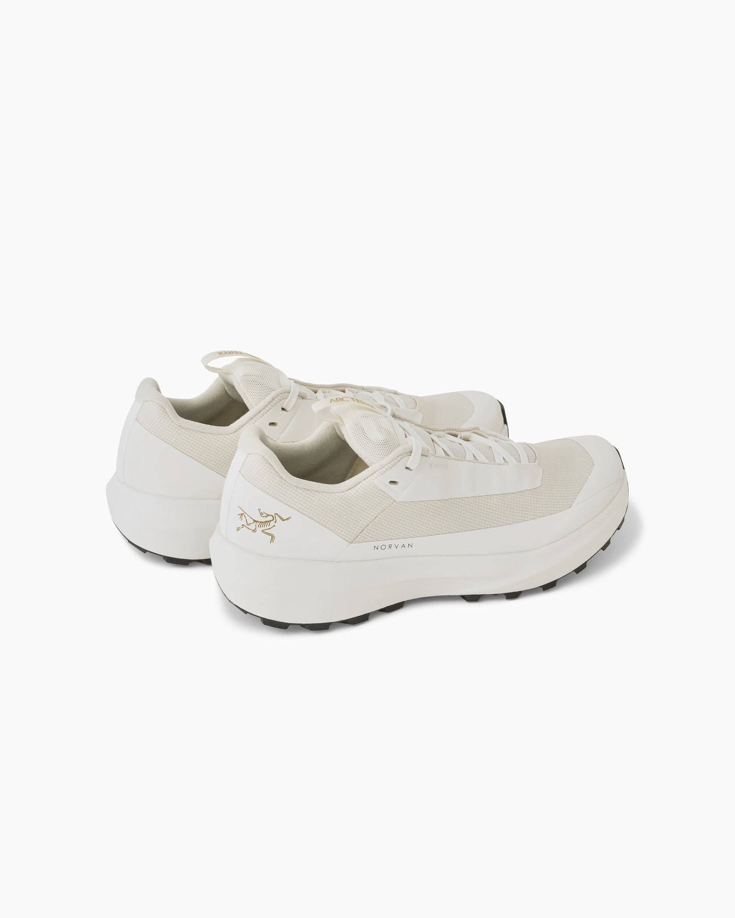 Norvan LD 4 GTX Women Arctic Silk/Arctic Silk