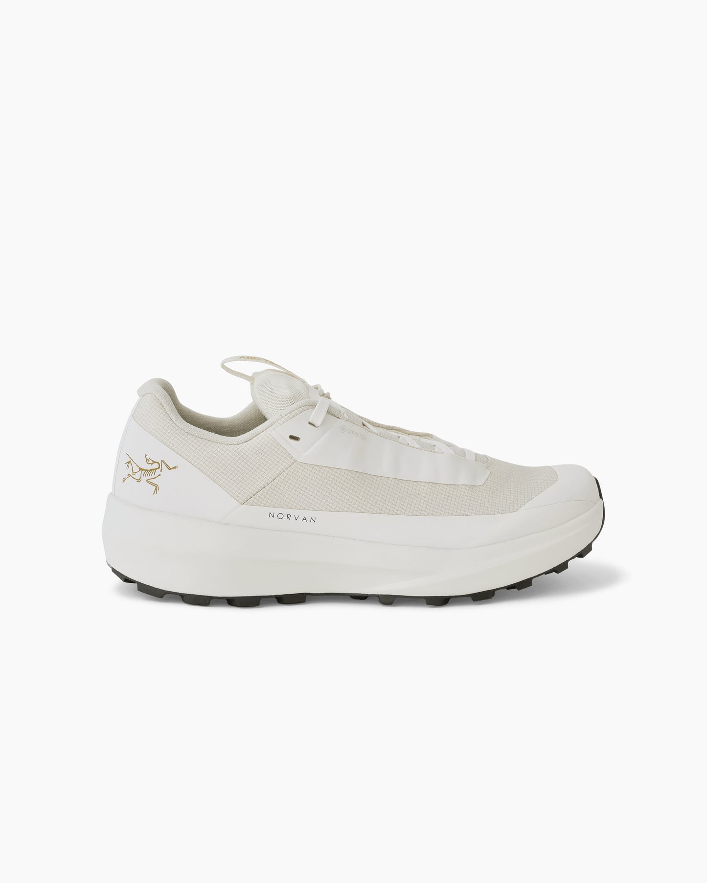 Norvan LD 4 GTX Women Arctic Silk/Arctic Silk