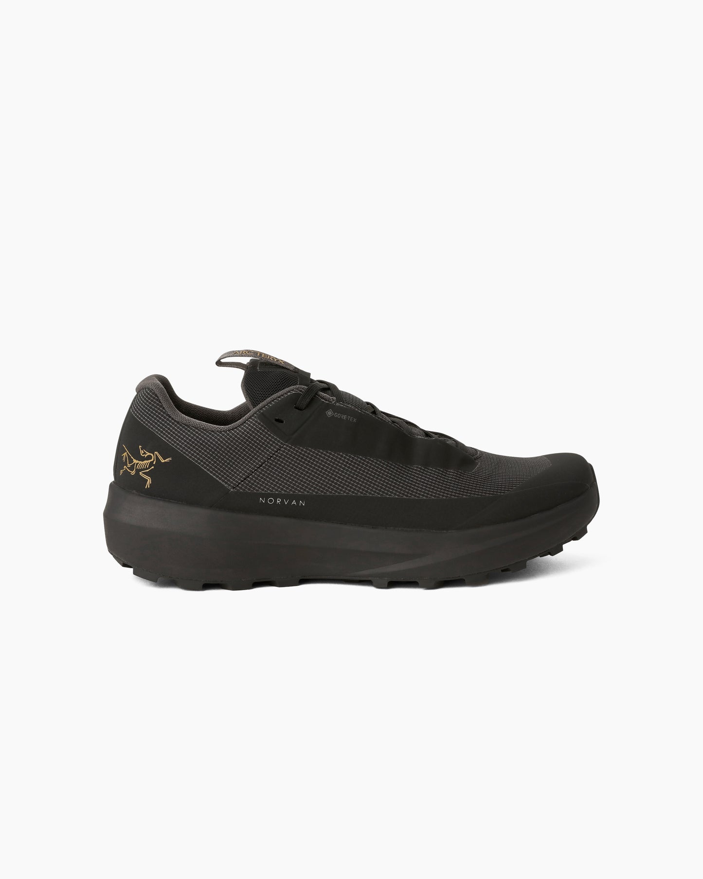 Norvan LD 4 GTX Women Black/Black